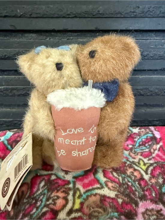 Boyds Bears Other - Boyds Bears Brown and Tan Plush Couple Sharing Drink